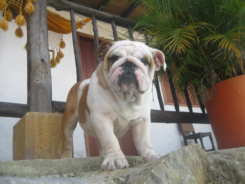 Hotel Terrazas De La Candelaria San Gil Bagian luar foto